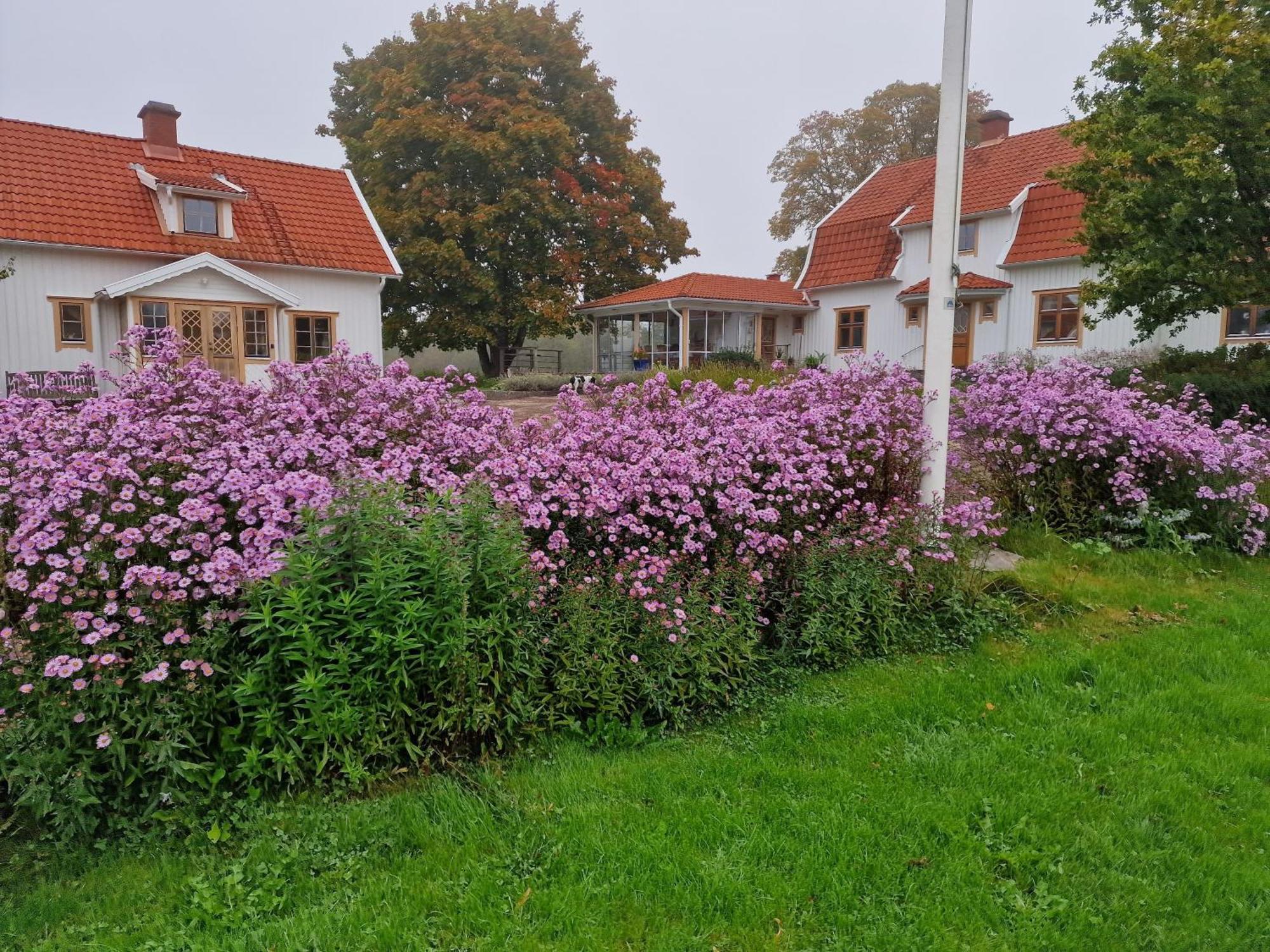 Stuga I Smaland Villa Kulltorp  Exterior photo